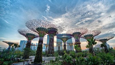 HÀ NỘI - SINGAPORE – MALAYSIA – HÀ NỘI (BAY SCOOT AIR - BATIK AIR) - Image - 6746